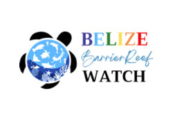 Belize Barrier Reef Watch