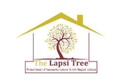 The Lapsi Tree