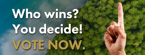 Who wins? You decide!